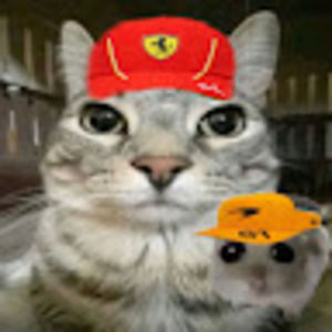 Meet your Posher, Elena